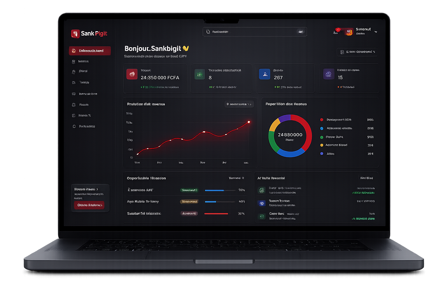 Aperçu plateforme SankDigit